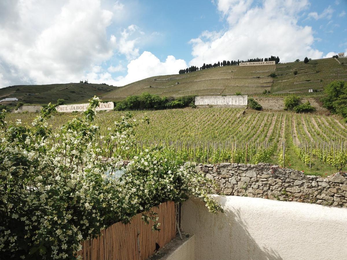 Le Pavillon De L'Hermitage - Spa Ouvert D'Avril A Octobre Tain-lʼHermitage Zewnętrze zdjęcie