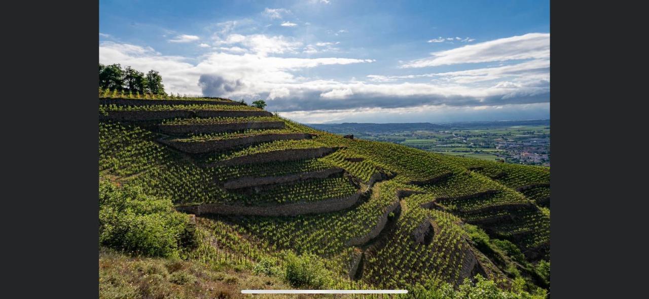 Le Pavillon De L'Hermitage - Spa Ouvert D'Avril A Octobre Tain-lʼHermitage Zewnętrze zdjęcie